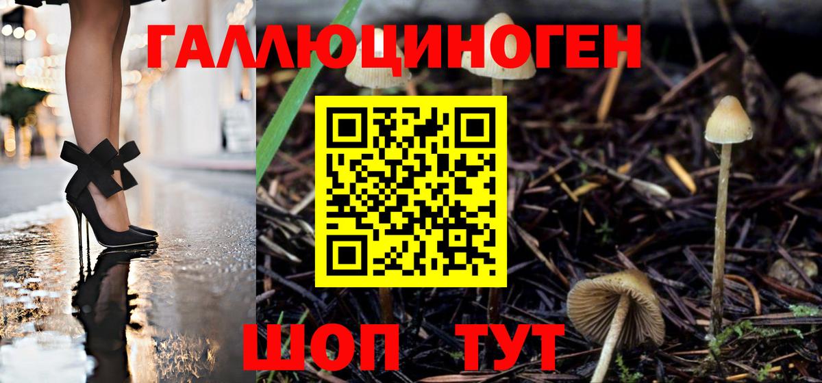 Галлюциногенные грибы мицелий Миасс