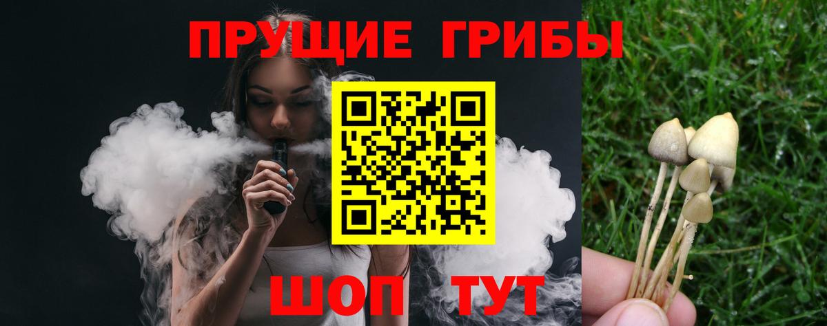 Миасс  Псилоцибиновые грибы мицелий  Вход с VPN 